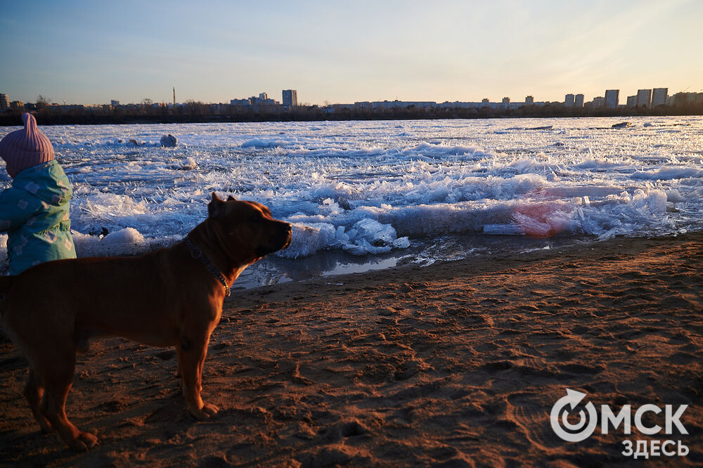 В районе Омска начался ледоход. В этом году он ранний, но, как обычно, очень красивый. Фото: Илья Петров
