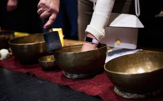 Благопожелания и массаж звуковыми вибрациями. Омичи встретили Китайский Новый год в музее Благопожелания и массаж звуковыми вибрациями. Омичи встретили Китайский Новый год в музее