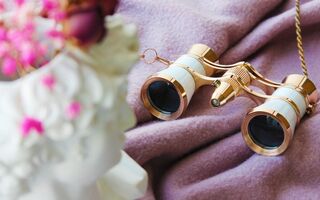 История художника-бунтаря Эдуарда Мане откроет ЧАТ в Омске История художника-бунтаря Эдуарда Мане откроет ЧАТ в Омске