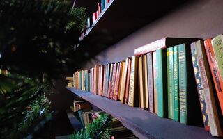 В Омском аэропорту открылась "Воздушная библиотека" В Омском аэропорту открылась "Воздушная библиотека"