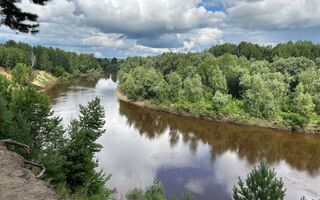 Река нашего сердца. Необычная выставка, посвящённая реке Таре, откроется в Омске Река нашего сердца. Необычная выставка, посвящённая реке Таре, откроется в Омске