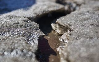 Быстро ли в Омске растает снег: синоптики дали свой прогноз Быстро ли в Омске растает снег: синоптики дали свой прогноз