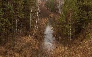 Поисково-спасательные отряды Омска ищут добровольцев Поисково-спасательные отряды Омска ищут добровольцев