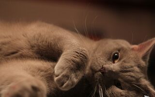 От кладовщика до аналитика: рейтинг самых трудолюбивых и ленивых профессий в Омске От кладовщика до аналитика: рейтинг самых трудолюбивых и ленивых профессий в Омске