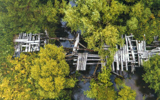 Тара - река нашего сердца. История продолжительностью в 20 лет собралась на омской фотовыставке Тара - река нашего сердца. История продолжительностью в 20 лет собралась на омской фотовыставке