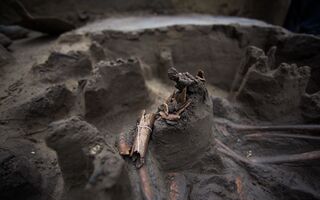 В Омской области пересчитают сохранившиеся и утраченные памятники археологии В Омской области пересчитают сохранившиеся и утраченные памятники археологии