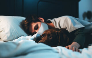 Бесплатно и может спасти жизнь: где в Омске вакцинировать питомца от бешенства Бесплатно и может спасти жизнь: где в Омске вакцинировать питомца от бешенства