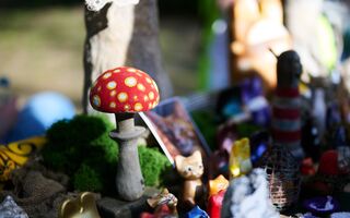 "Ночь музеев" в Омске: 40 площадок, тысячи гостей и море креатива "Ночь музеев" в Омске: 40 площадок, тысячи гостей и море креатива