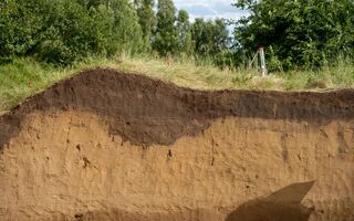 Более 600 артефактов найдено на стоянке "Черноозерье II" в Омской области этим летом Более 600 артефактов найдено на стоянке "Черноозерье II" в Омской области этим летом