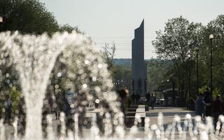 Жизнь в одном кадре: кто победил в фотоконкурсе памяти Елены Латыповой Жизнь в одном кадре: кто победил в фотоконкурсе памяти Елены Латыповой